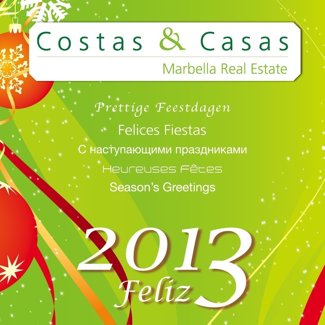 Kerst en nieuwjaarskaart 2013