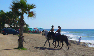 Appartement te koop, Beachfront - frontline beach – eerste lijn strand boulevard complex, San Pedro - Marbella 4