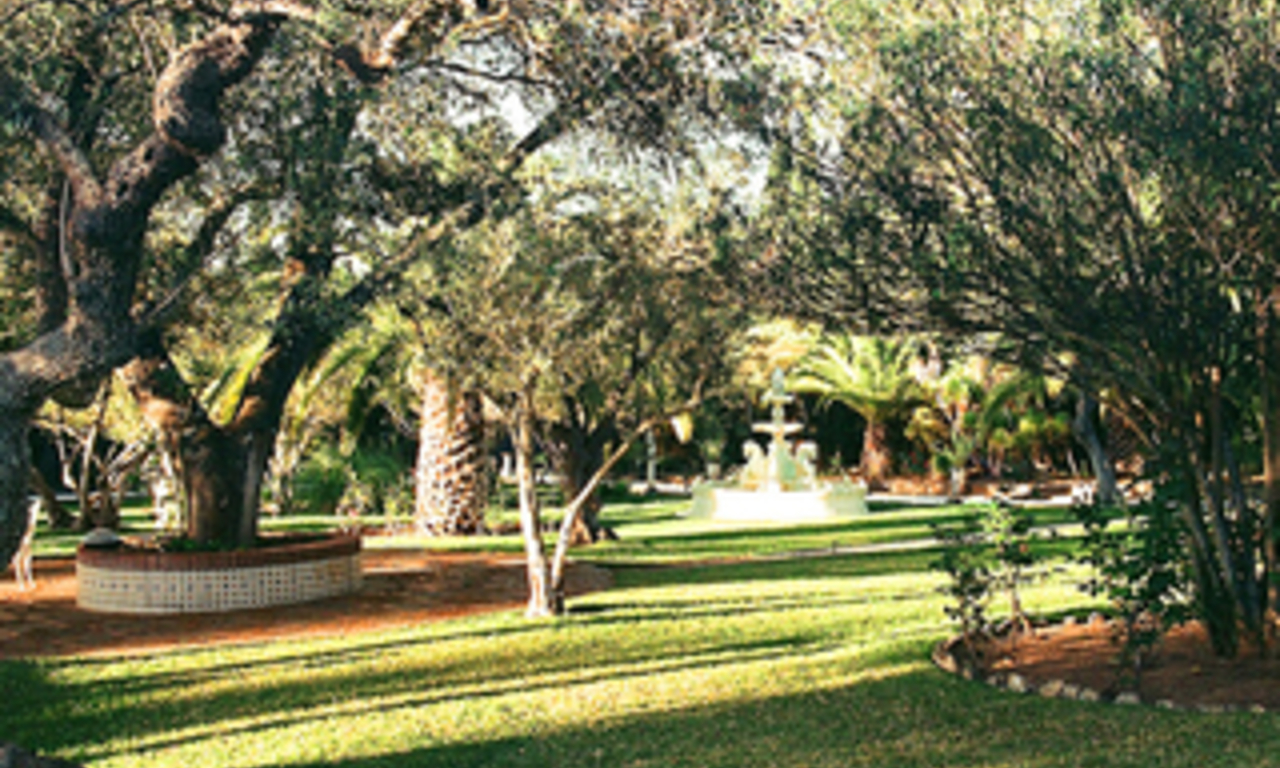 Villa / Landgoed te koop vlakbij Ronda aan de Costa del Sol, Andalusië 6