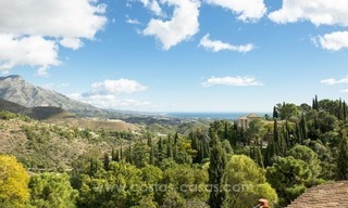 Klassieke landelijke villa te koop in El Madroñal te Benahavis - Marbella 3