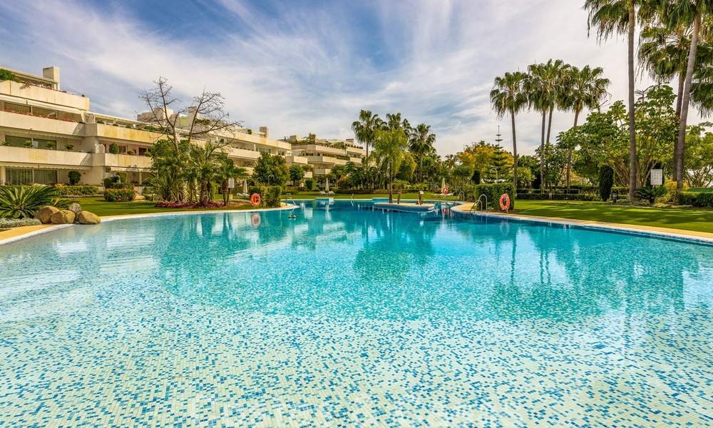 Gerenoveerd luxe appartement te koop, eerstelijnsgolf Las Brisas in Nueva Andalucia, Marbella 26565