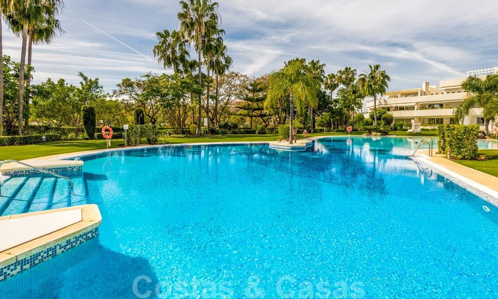 Gerenoveerd luxe appartement te koop, eerstelijnsgolf Las Brisas in Nueva Andalucia, Marbella 26567