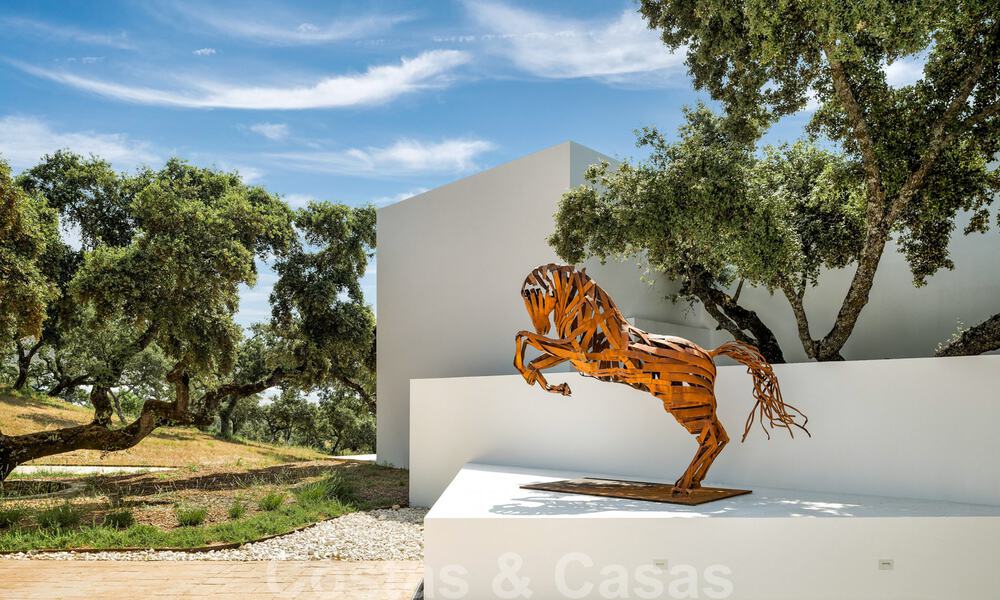 Wijngaard – landgoed met een villa in een moderne stijl te koop nabij Ronda in Andalusië 29127