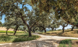 Wijngaard – landgoed met een villa in een moderne stijl te koop nabij Ronda in Andalusië 29128 