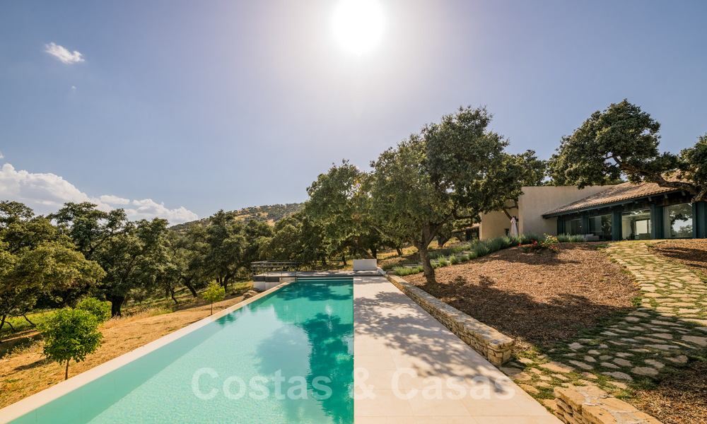 Wijngaard – landgoed met een villa in een moderne stijl te koop nabij Ronda in Andalusië 29153