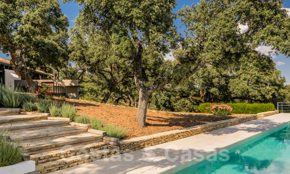 Wijngaard – landgoed met een villa in een moderne stijl te koop nabij Ronda in Andalusië 29166