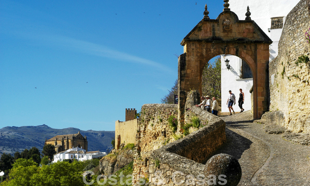 Wijngaard – landgoed met een villa in een moderne stijl te koop nabij Ronda in Andalusië 29329