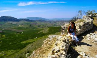 Wijngaard – landgoed met een villa in een moderne stijl te koop nabij Ronda in Andalusië 29333 