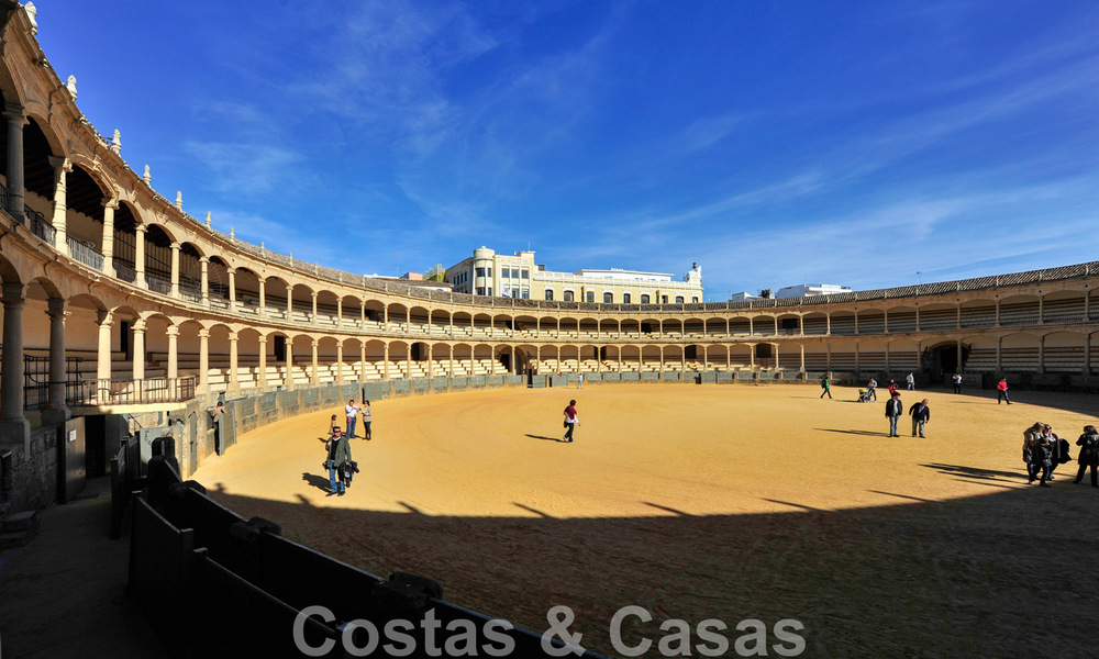 Wijngaard – landgoed met een villa in een moderne stijl te koop nabij Ronda in Andalusië 29336