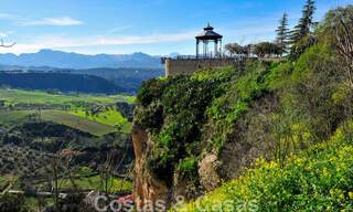 Wijngaard – landgoed met een villa in een moderne stijl te koop nabij Ronda in Andalusië 29337 