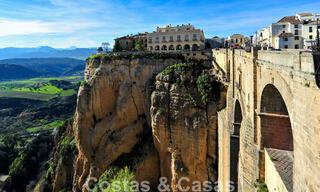 Wijngaard – landgoed met een villa in een moderne stijl te koop nabij Ronda in Andalusië 29338 