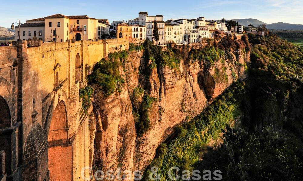 Wijngaard – landgoed met een villa in een moderne stijl te koop nabij Ronda in Andalusië 29341