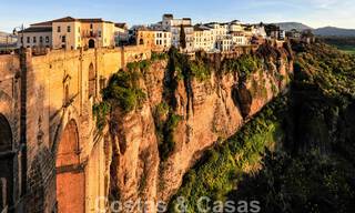 Wijngaard – landgoed met een villa in een moderne stijl te koop nabij Ronda in Andalusië 29341 