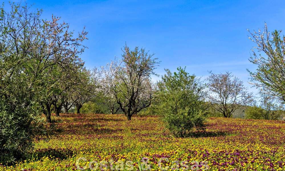 Wijngaard – landgoed met een villa in een moderne stijl te koop nabij Ronda in Andalusië 29343