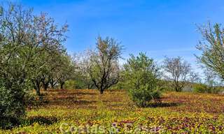 Wijngaard – landgoed met een villa in een moderne stijl te koop nabij Ronda in Andalusië 29343 
