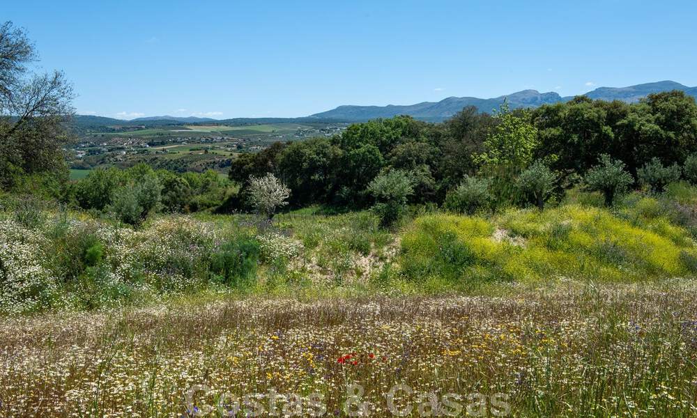 Wijngaard – landgoed met een villa in een moderne stijl te koop nabij Ronda in Andalusië 33821