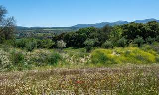 Wijngaard – landgoed met een villa in een moderne stijl te koop nabij Ronda in Andalusië 33821 
