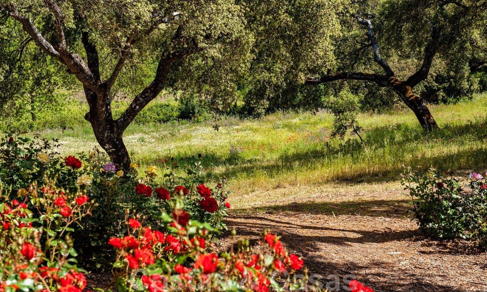 Wijngaard – landgoed met een villa in een moderne stijl te koop nabij Ronda in Andalusië 33824