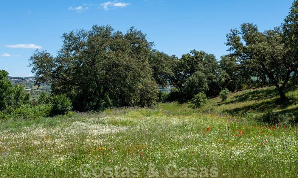 Wijngaard – landgoed met een villa in een moderne stijl te koop nabij Ronda in Andalusië 33825