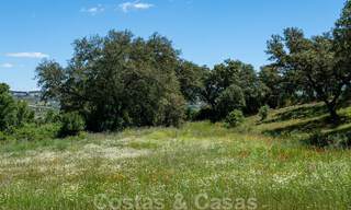 Wijngaard – landgoed met een villa in een moderne stijl te koop nabij Ronda in Andalusië 33825 
