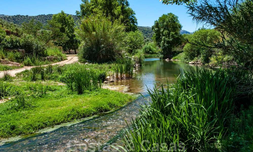 Wijngaard – landgoed met een villa in een moderne stijl te koop nabij Ronda in Andalusië 33826
