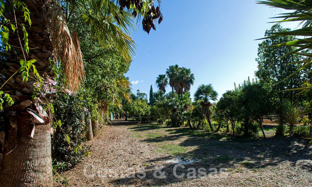 Finca met paardenstallen te koop op korte afstand van Estepona centrum, Costa del Sol 61037