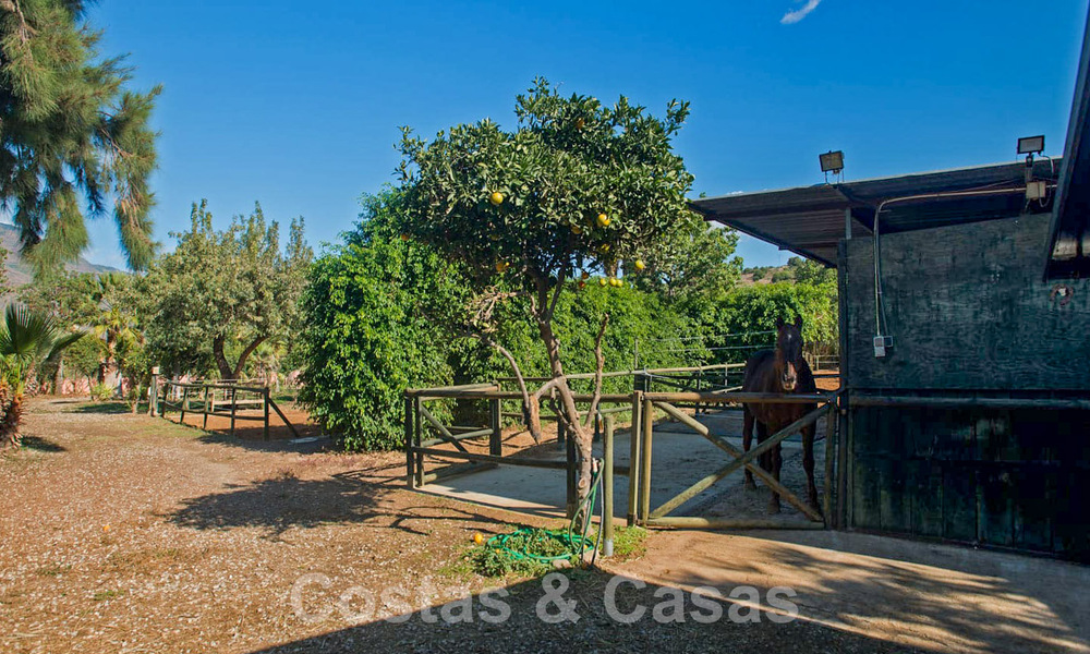 Finca met paardenstallen te koop op korte afstand van Estepona centrum, Costa del Sol 61065