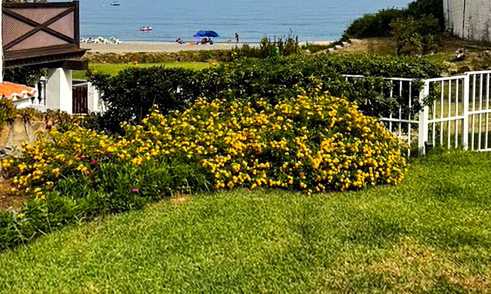 Ruime, instapklare woning met zeezicht te koop, grenzend aan het strand, nabij Estepona stad 785464