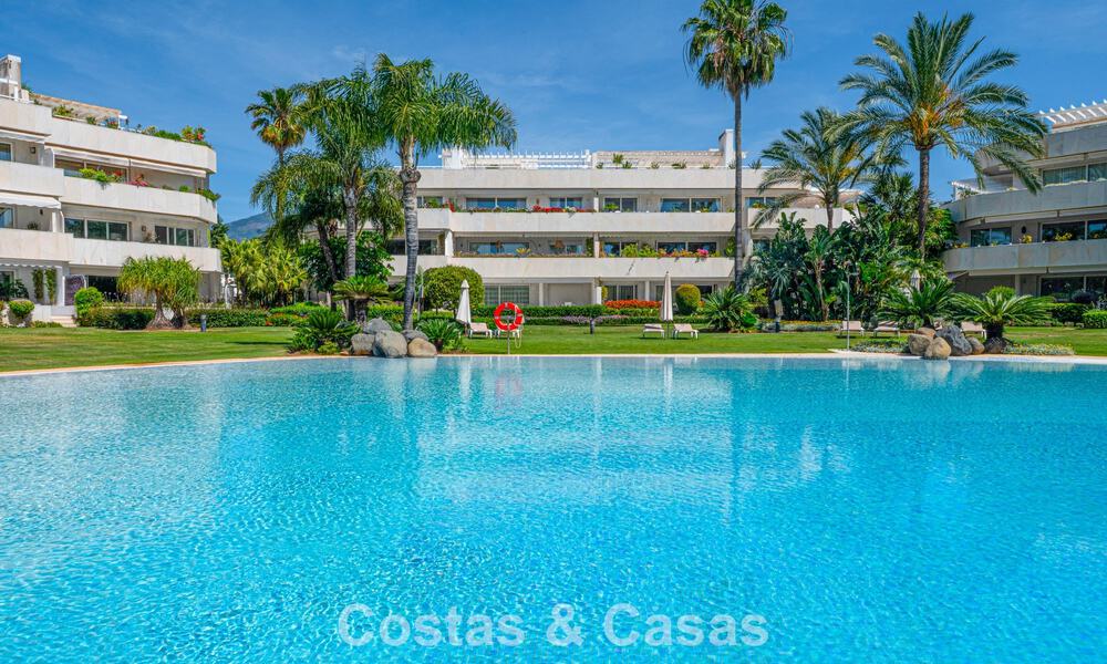 Hoogwaardig duplex penthouse te koop in een felbegeerd golfcomplex in Nueva Andalucia, Marbella 801008
